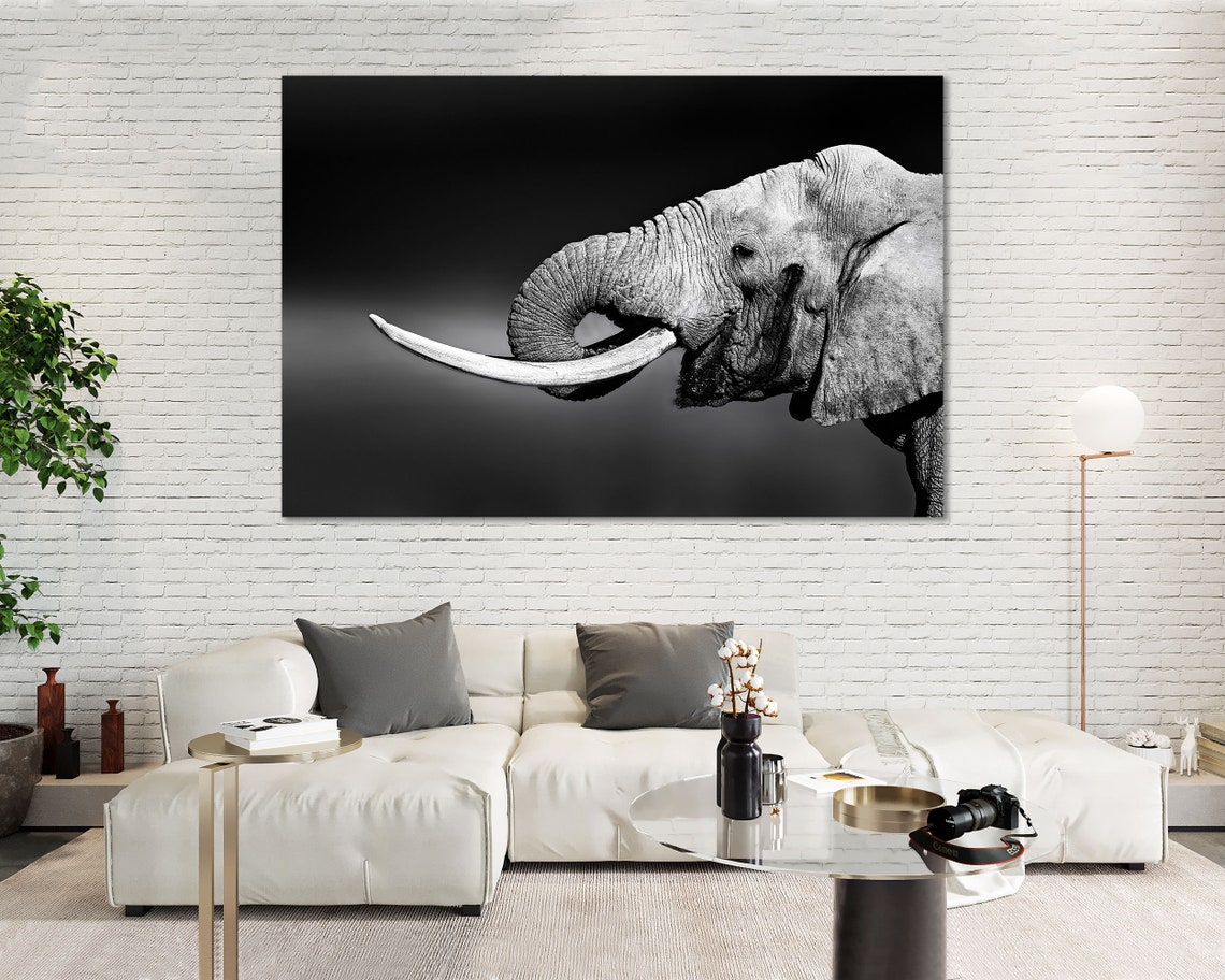 African Elephant Black White Triptych Close Up Wildlife Wall Art - Image 5