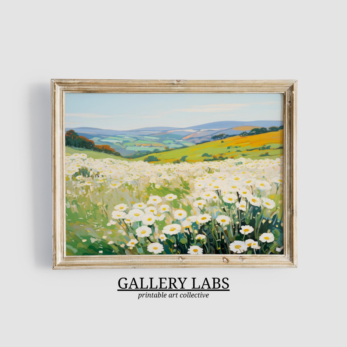 White Daisy Field Rolling Hills Sunny Spring Meadow Art Print