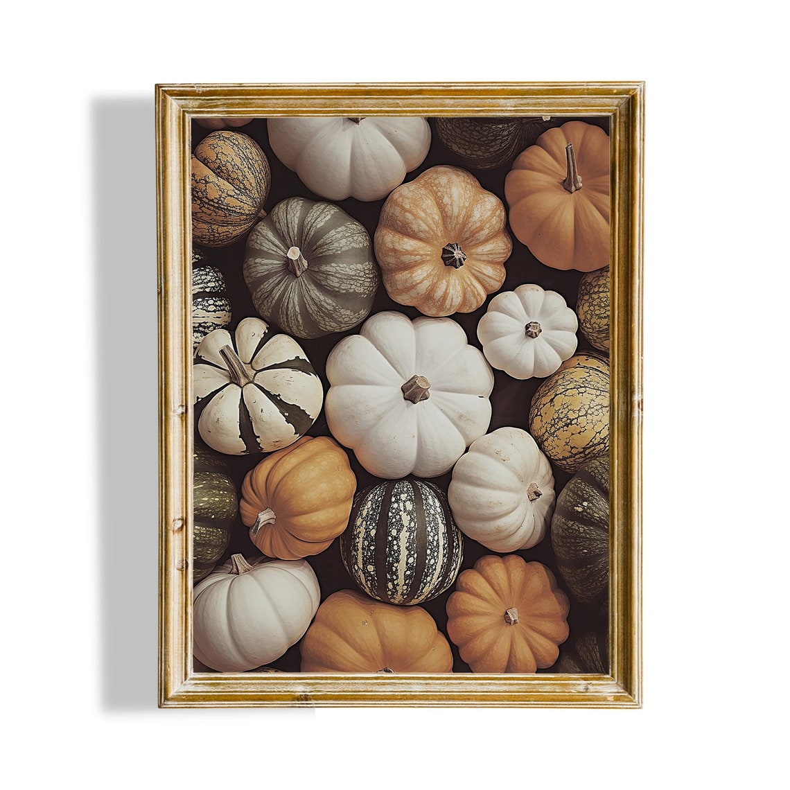 Autumn Pumpkin Patch Flat Lay Harvest Gourds Fall Decor Poster