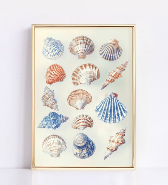 Seashell Art For Coastal Cowgirl Decor Beachy Room Decor And Surf Poster Maximalist Wall Art For Preppy Dorms Trendy Beach House Decor