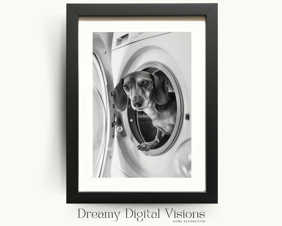 Cute Dachshund Laundry Room Wall Art Print