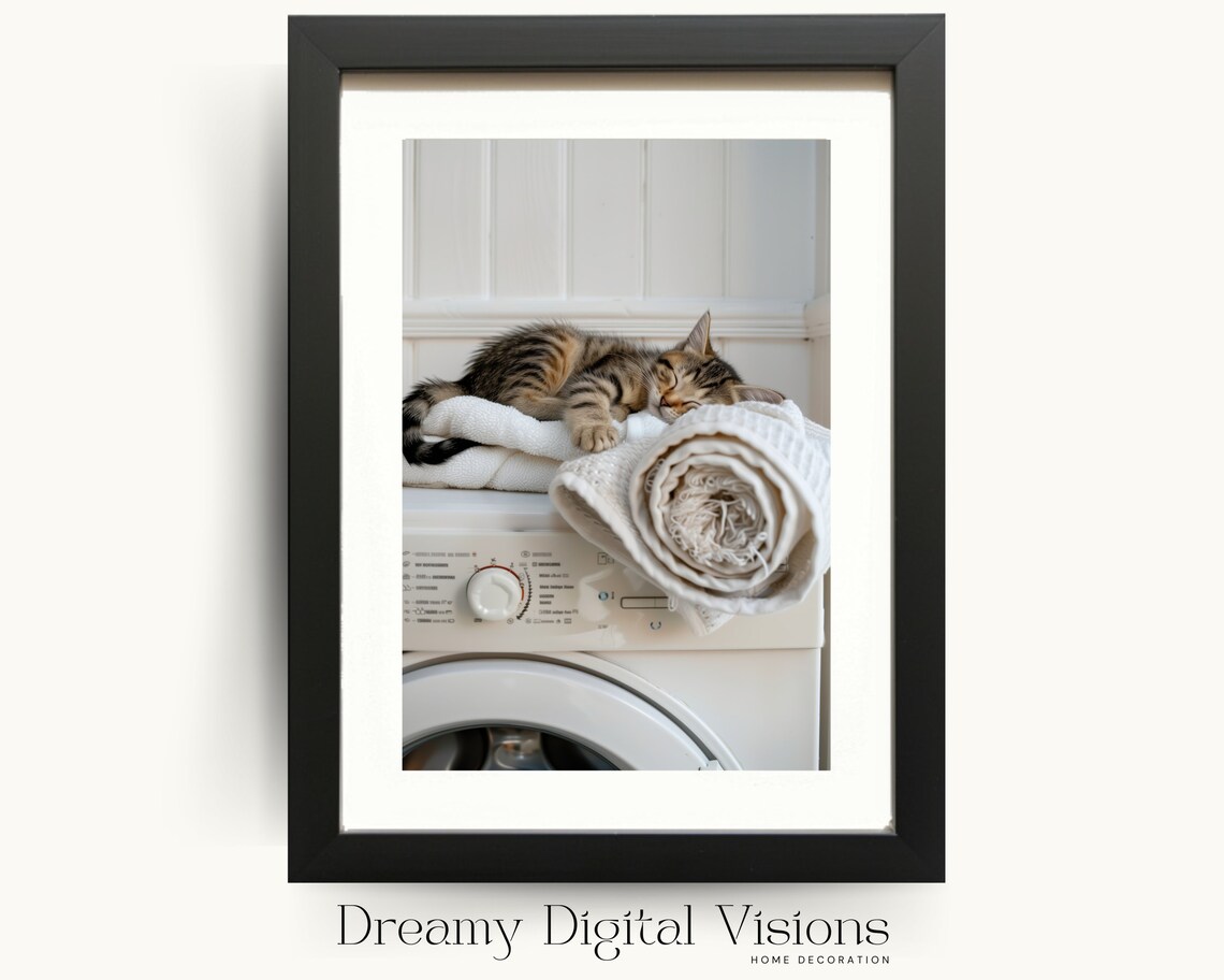 Adorable Kitten Asleep On Washing Machine Art Print