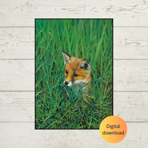 Young Red Fox Peeking Through a Tall Green Grass Field Poster