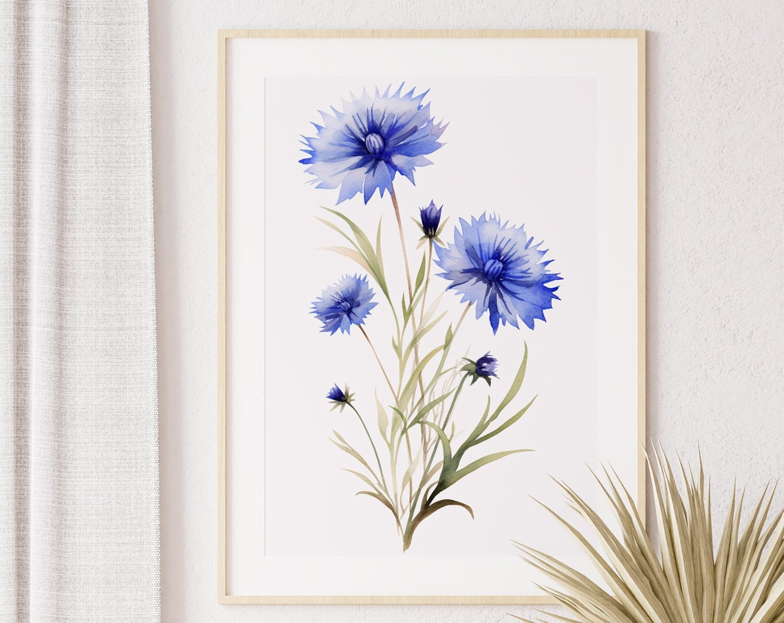Blue Cornflower Stem Bouquet Watercolor Botanical Art Poster - Image 5