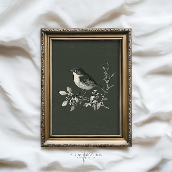 Botanical Bird Drawing Print Vintage Art In White Ink Rustic Farmhouse Wall Decor Nature Artwork 6121