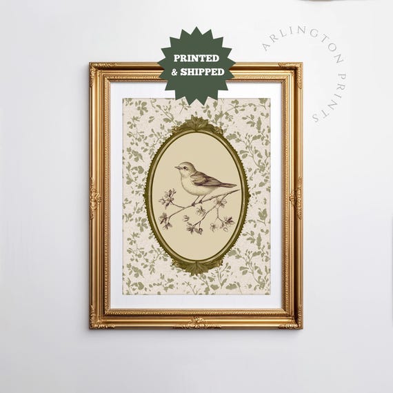 Antique Bird Illustration Print Nursery Wall Art For Baby Girl Floral Frame Vintage Decor Heirloom Style Poster Cs06