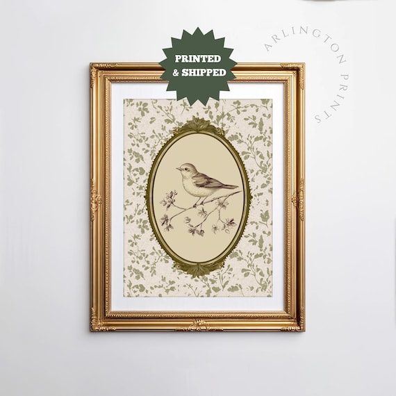 Antique Bird On Blossom Branch Oval Frame Vintage Nursery Art Print