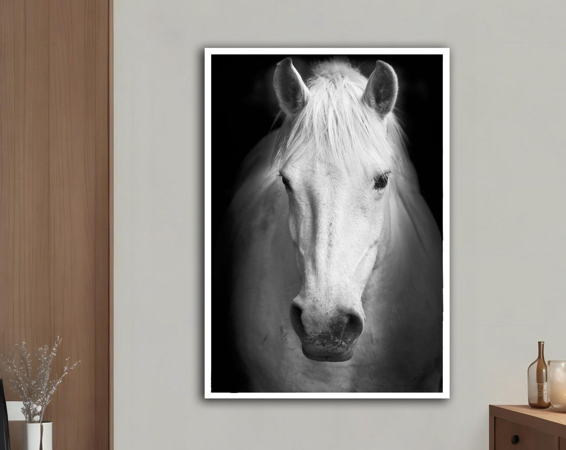 White Horse Portrait Black White Dramatic Photography Art Print