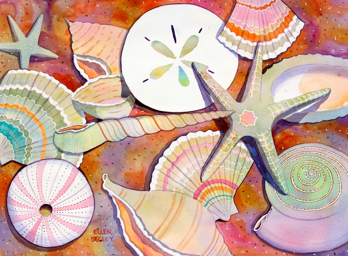 Seashells Sand Dollar and Starfish Coastal Watercolor Poster