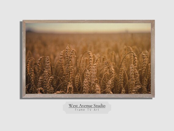 Fall Wheat Field TV Art, Farmhouse Decor Print