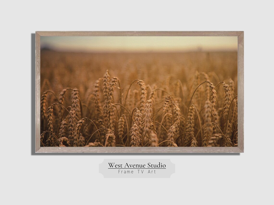 Fall Wheat Field TV Art, Farmhouse Decor Print