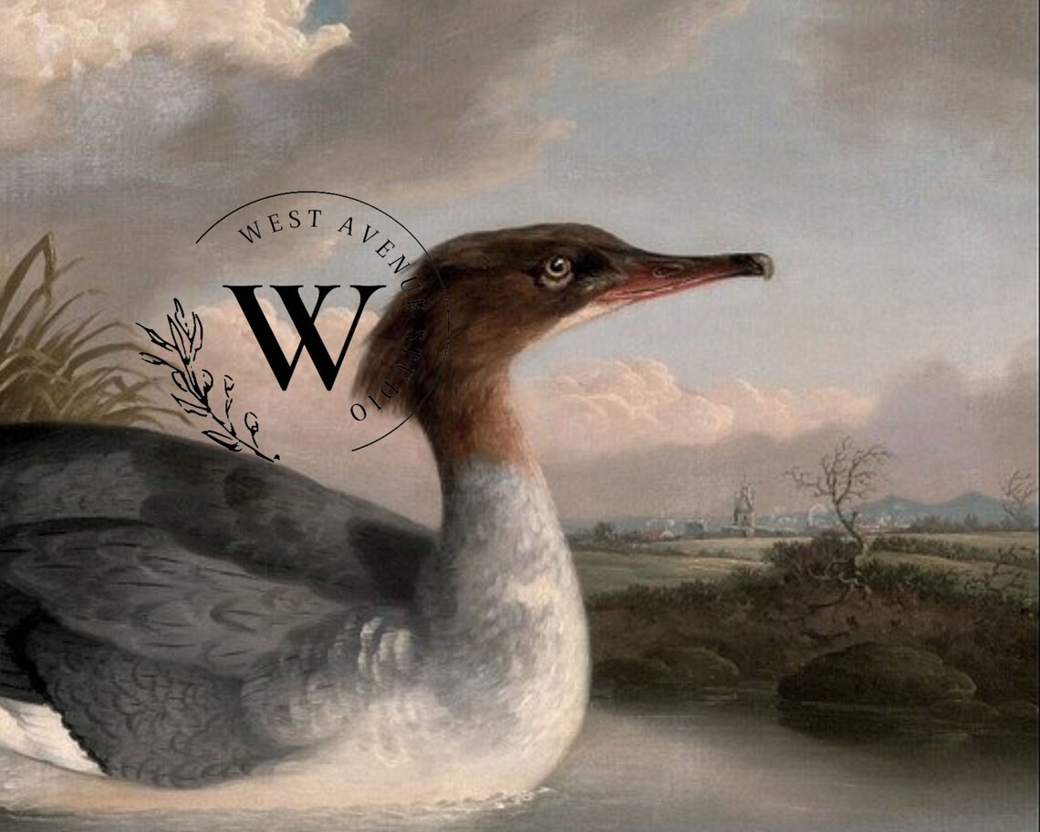Vintage Duck Waterfowl Painting Reeds River Wildlife Nature Art Poster - Image 3