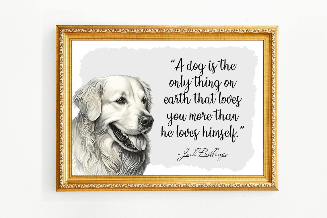 11pet Quotes Pets Dog Lover Gift Funny Dog Art For Pets Dogs Bring Joy Dogs And Cats Four Legs Teen Room Decor Art Funny Dog Poster - Image 5