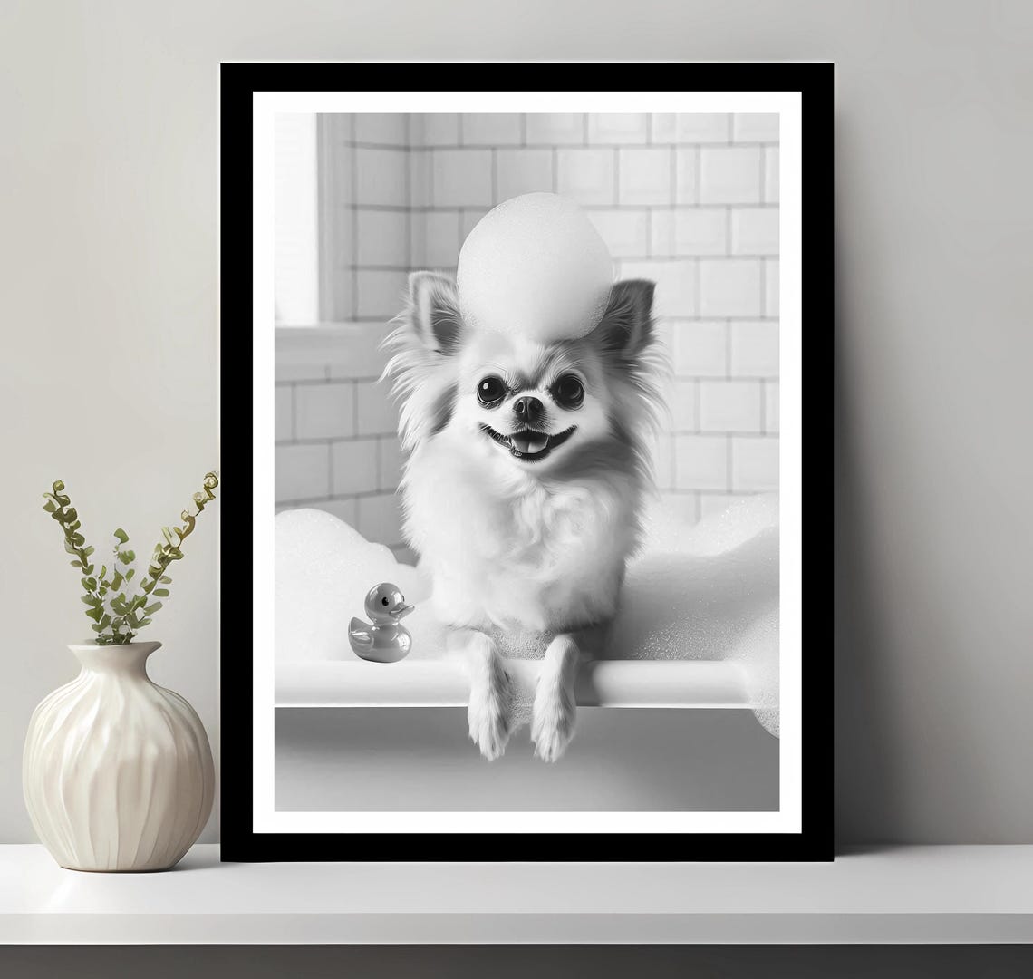 Long Haired Chihuahua in Bubble Bath Rubber Duck Funny Bathroom Poster