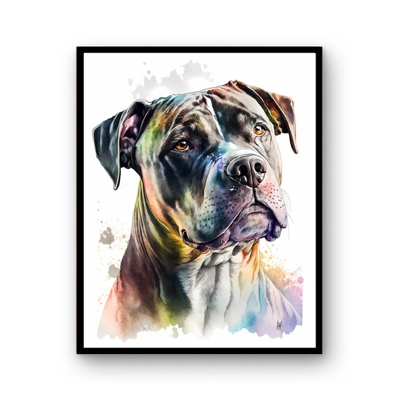 Pitbull Portrait In Colorful Watercolor Splash Dog Art Print