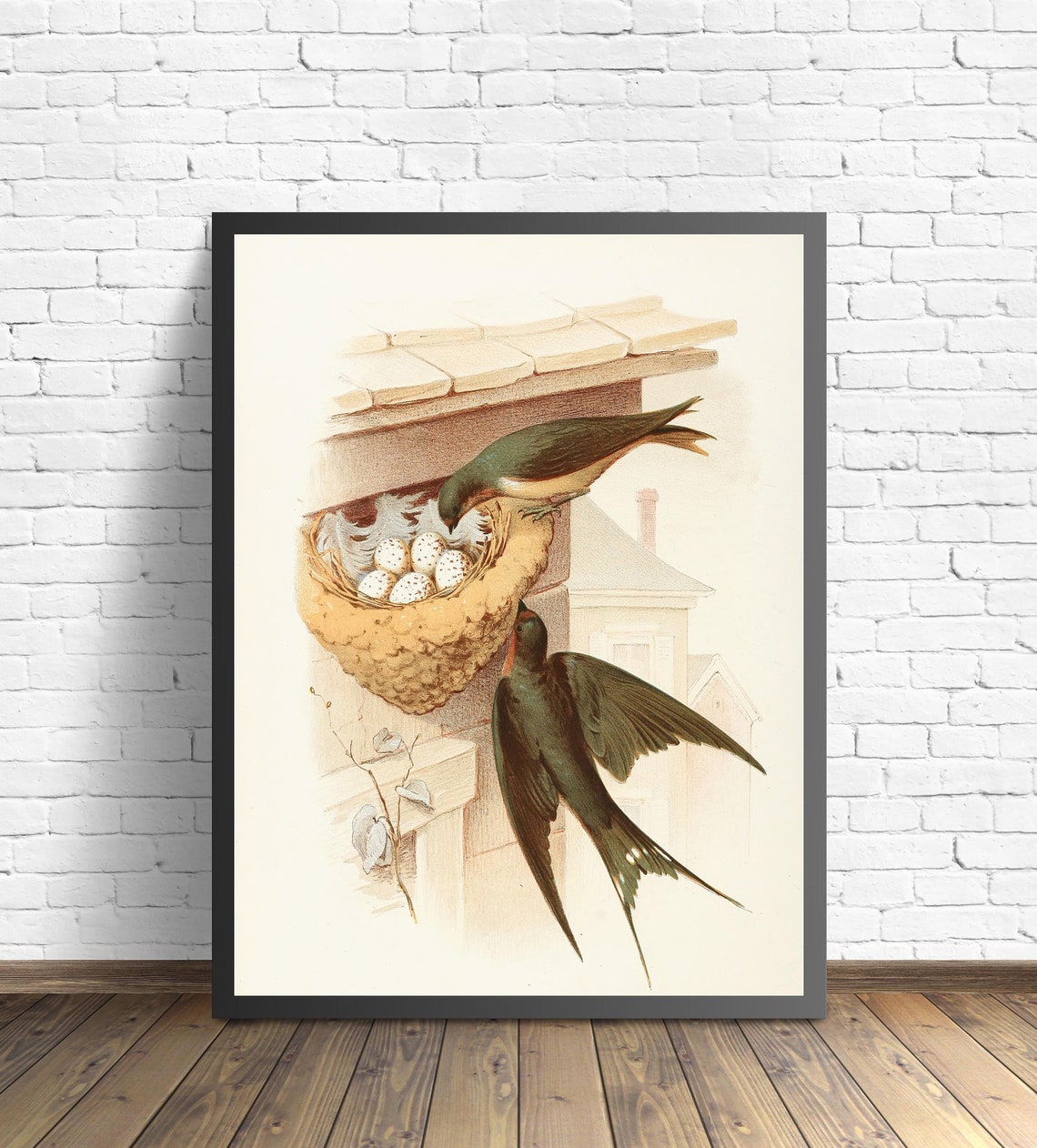 Barn Swallows 1882 Vintage Bird Illustration Nest Decor Poster - Image 2