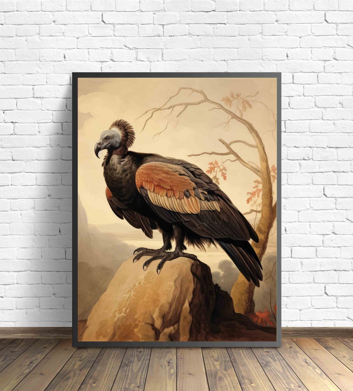 Vulture Vintage Naturalist Illustration Perched Rock Bird Poster