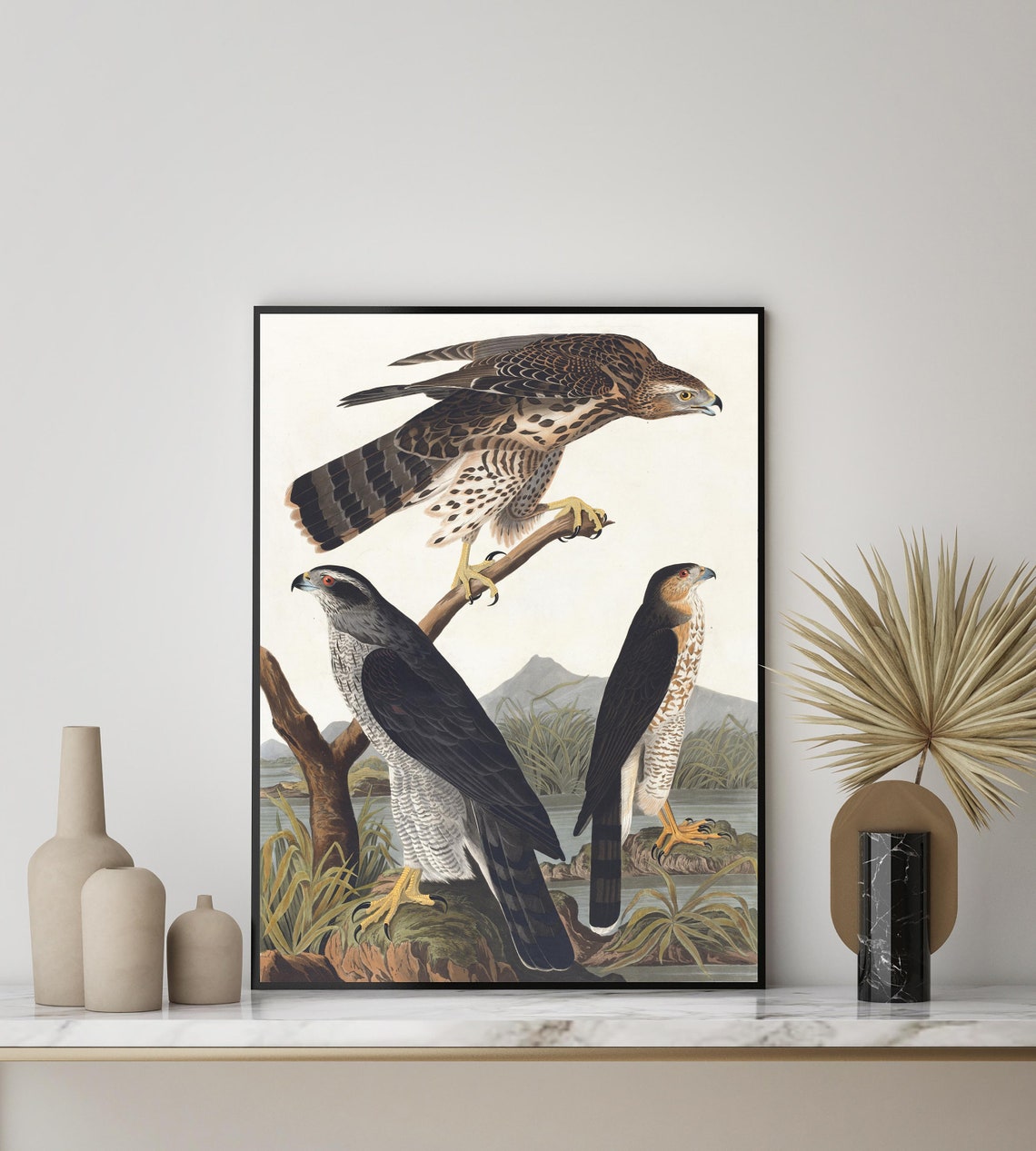 Stanley Goshawk Trio in a Classic Vintage Audubon Plate Style Poster - Image 3