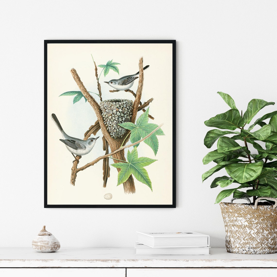 Blue Gray Gnatcatcher Pair at Their Nest Vintage Bird Art Poster - Image 3