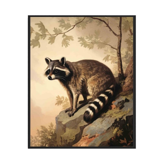 Raccoon on Forest Rock Curious Vintage Woodland Wildlife Poster