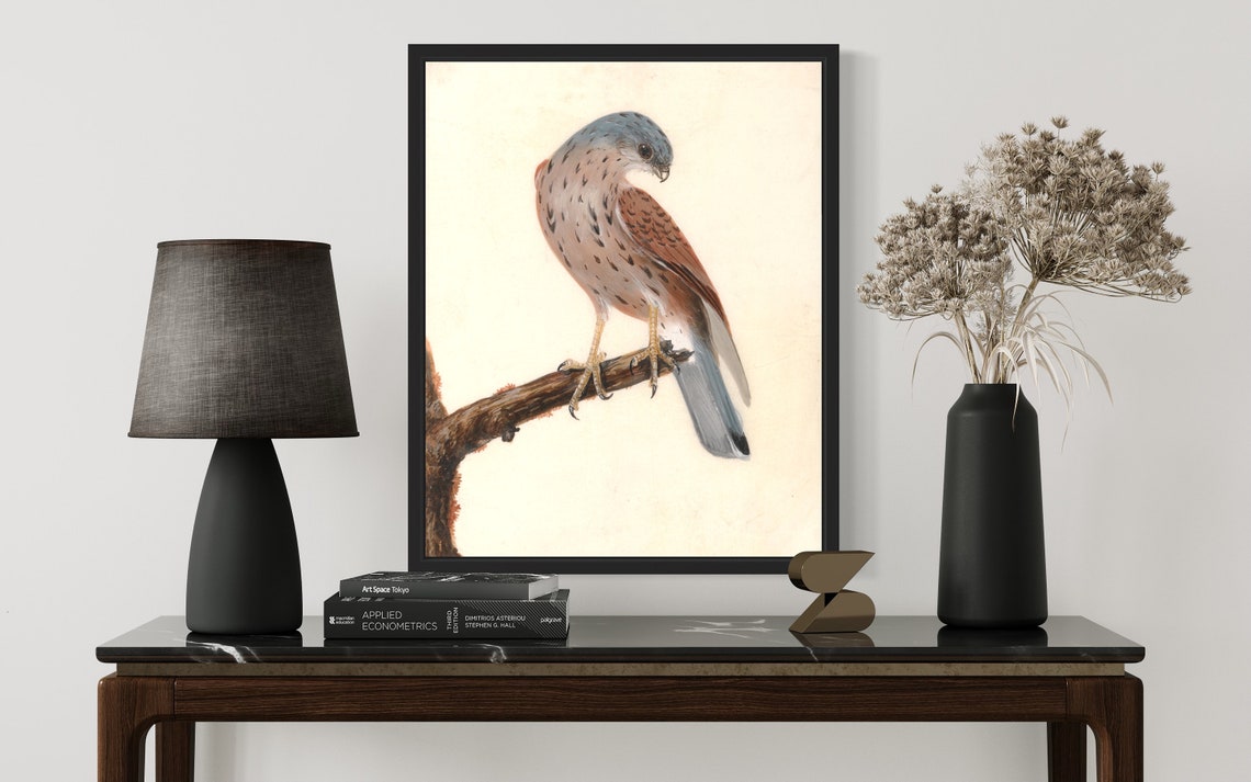 Common Kestrel Perched Branch Vintage Falconry Illustration Poster - Image 3