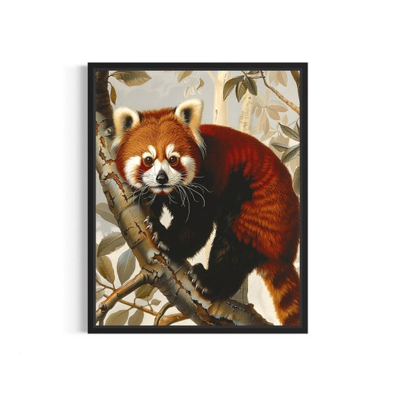 Vintage Red Panda Climbing Tree Bamboo Forest Wildlife Art Poster