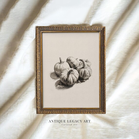 Vintage Pumpkin Fall Still Life Sketch Print Rustic Autumn Wall Art Thanksgiving Harvest Drawing Decor
