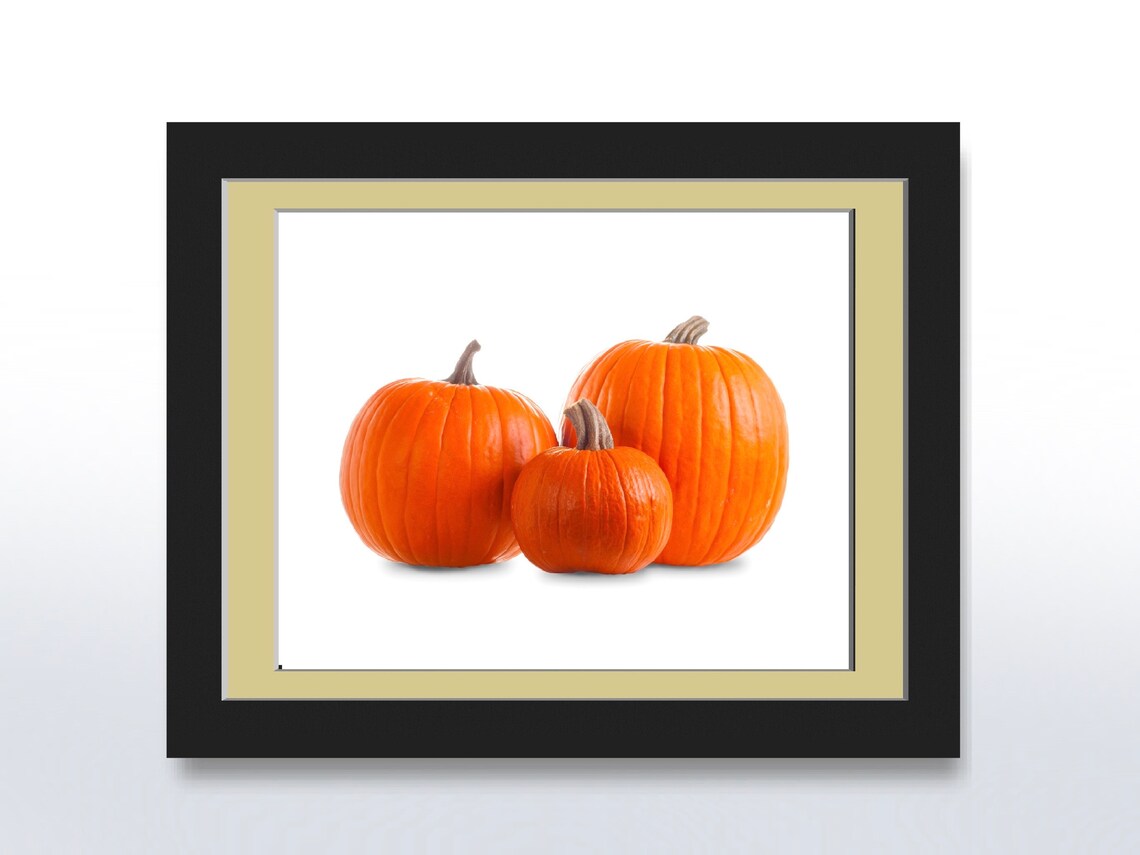 Three Pumpkins With Shadow, Realistic Photo