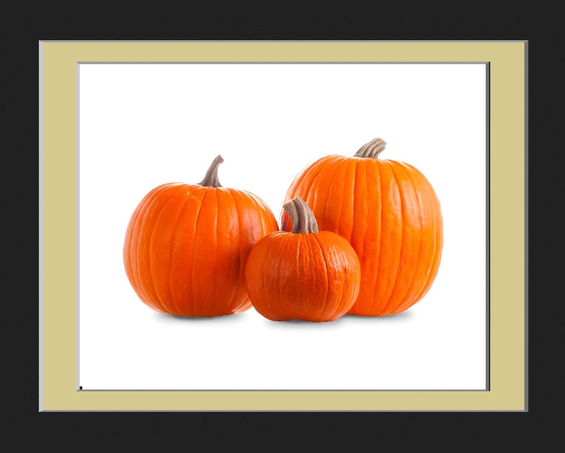 Three Pumpkins With Shadow, Realistic Photo - Image 2