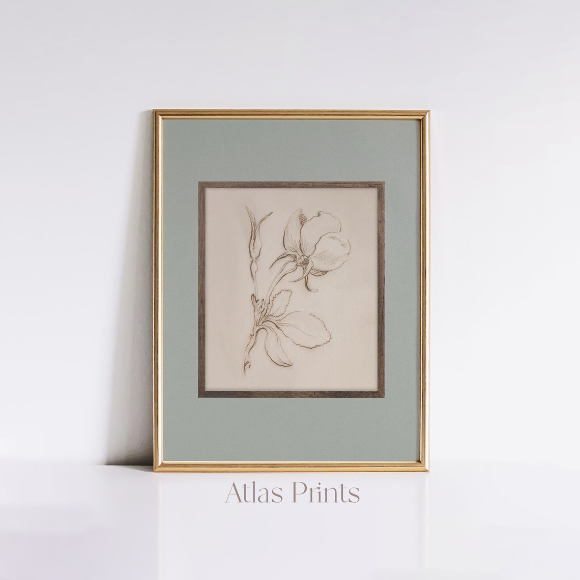 Vintage Rose Sketch Botanical Sepia Line Drawing Minimalist Poster