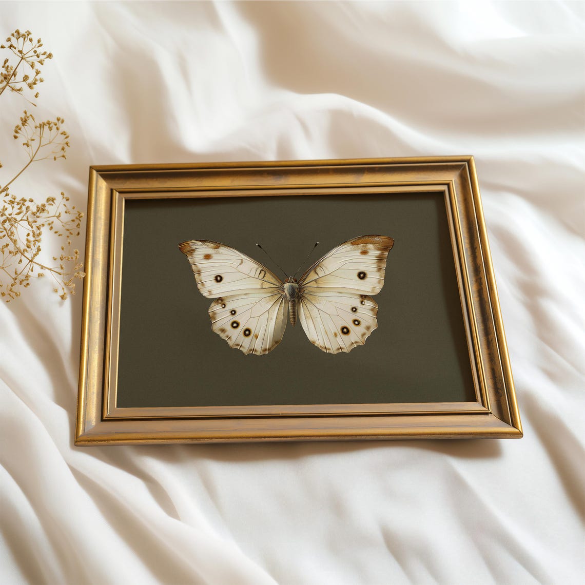 White Spotted Butterfly Olive Background Vintage Insect Wall Art - Image 2