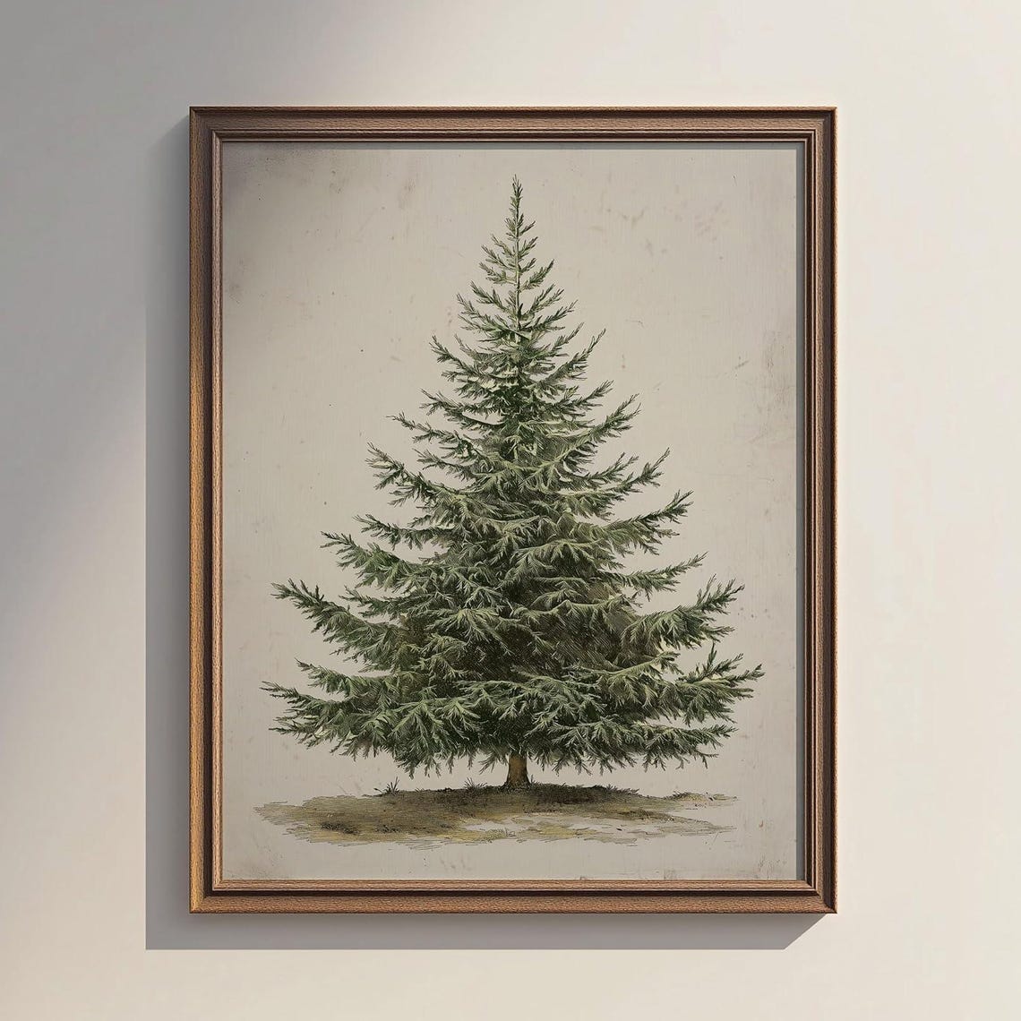 Vintage Evergreen Pine Tree Botanical Study Farmhouse Wall Poster - Image 4