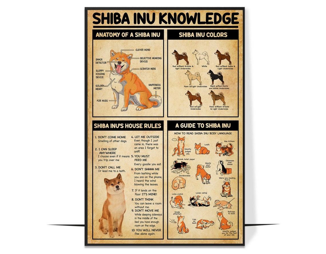 Funny Shiba Inu Knowledge Anatomy House Rules and Colors Poster - Image 4