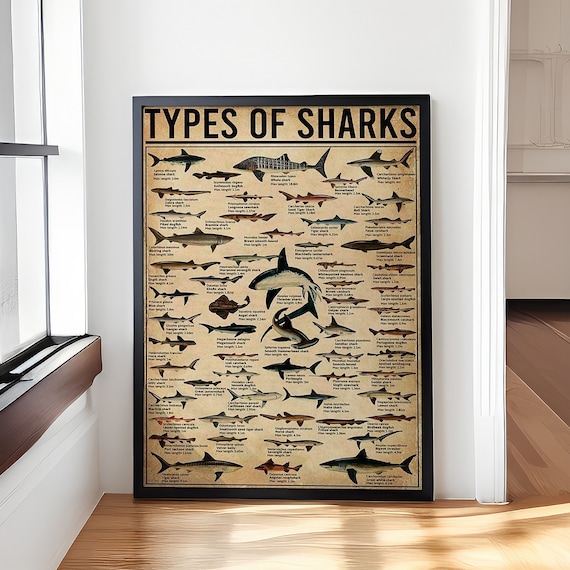Types of Sharks Vintage Species Identification Ocean Chart Poster