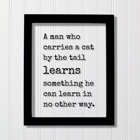 Man Carries Cat By The Tail Funny Learning Quote Frame Poster