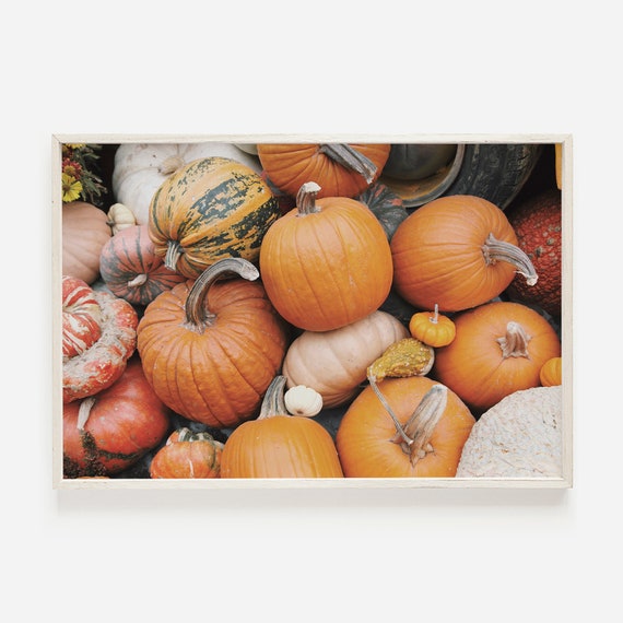 Farmhouse Pumpkins Wall Art Autumn Home Decor Pumpkin Harvest Fall Activities Patch Poster