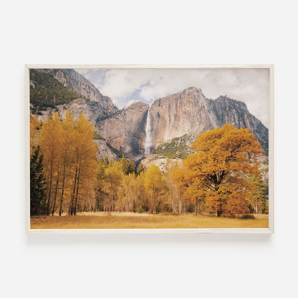 Autumn In Changing Leaves Yosemite Valley Travel Poster