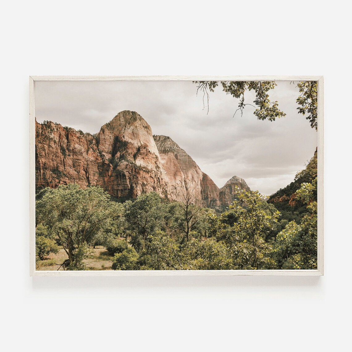 Utah Red Rock Canyon Green Valley Desert Landscape Scenery Poster