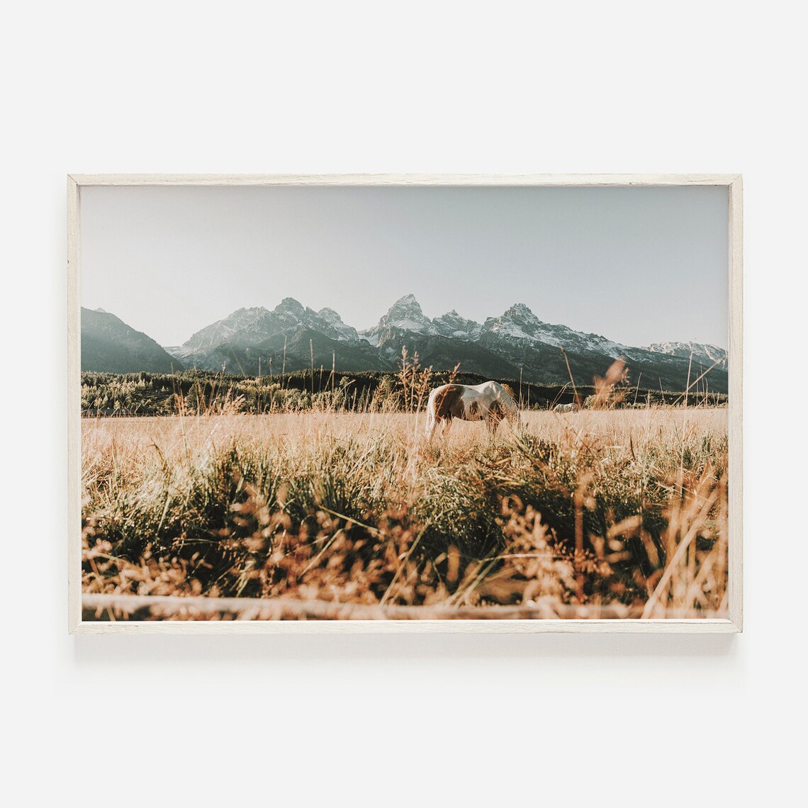 Overgrown Field And Horses Wyoming Rustic Landscape Art Print