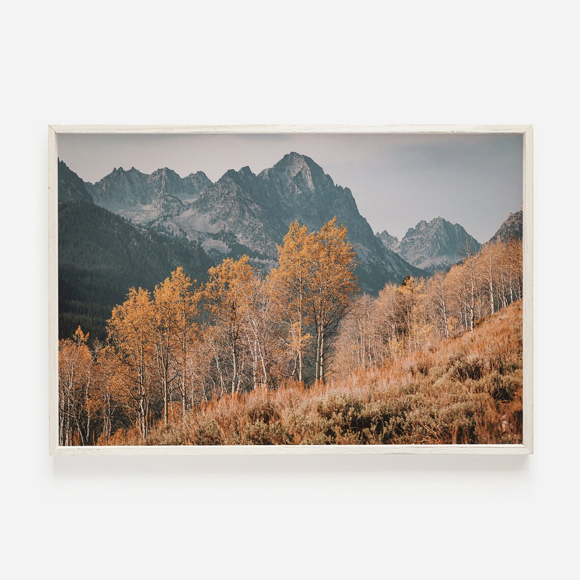 Rustic Autumn Colorado Rockies Landscape Art Print