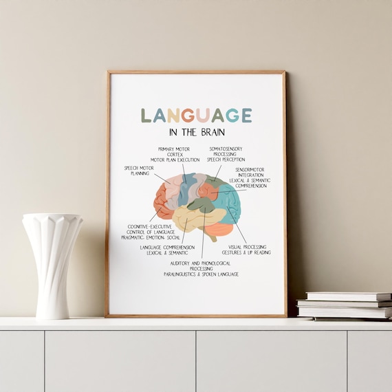 Language In The Brain Poster, Speech Therapy Wall Art