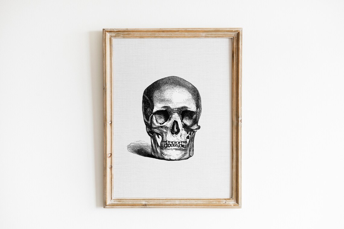 Vintage Skull Sketch Anatomy Art Detailed Black White Halloween Gothic Wall Poster - Image 3