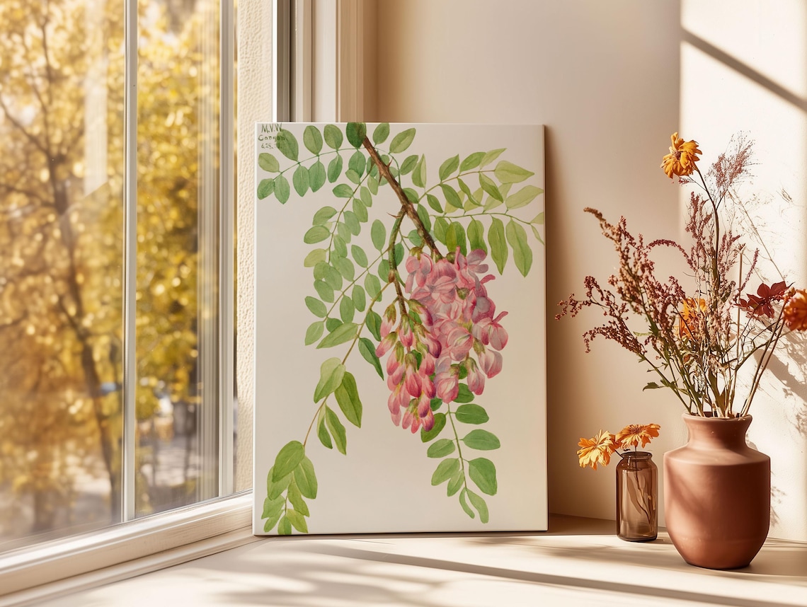 New Mexican Locust Pink Blossoms Vintage Botanical Art Poster