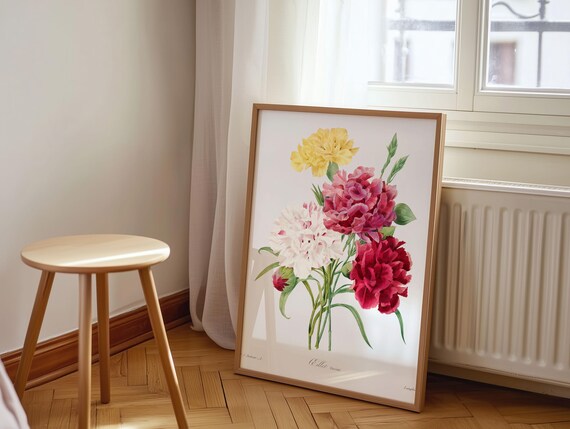 Redoute Style Vintage Carnation Botanical Illustration Poster