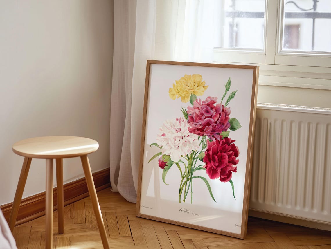 Redoute Style Vintage Carnation Botanical Illustration Poster
