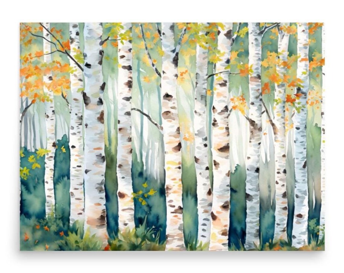 Birch Trees Aspen Watercolor Art Print, Colorado Autumn