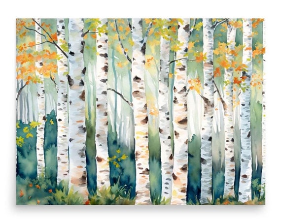 Birch Trees Aspen Watercolor Art Print, Colorado Autumn