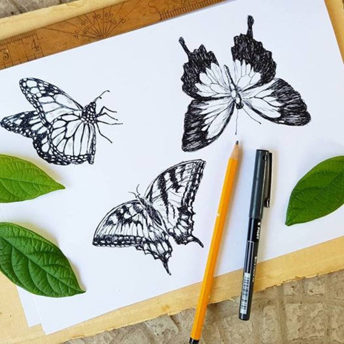 Butterfly Art Print, Black And White Nature Print - Image 2