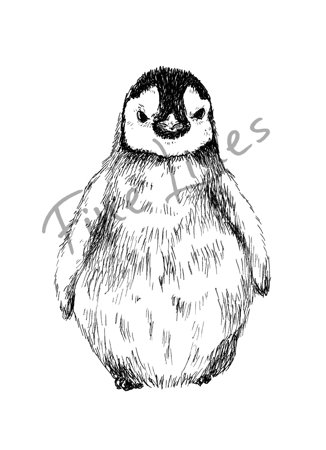 Baby Penguin Ink Sketch Black White Cute Animal Nursery Decor Poster - Image 2
