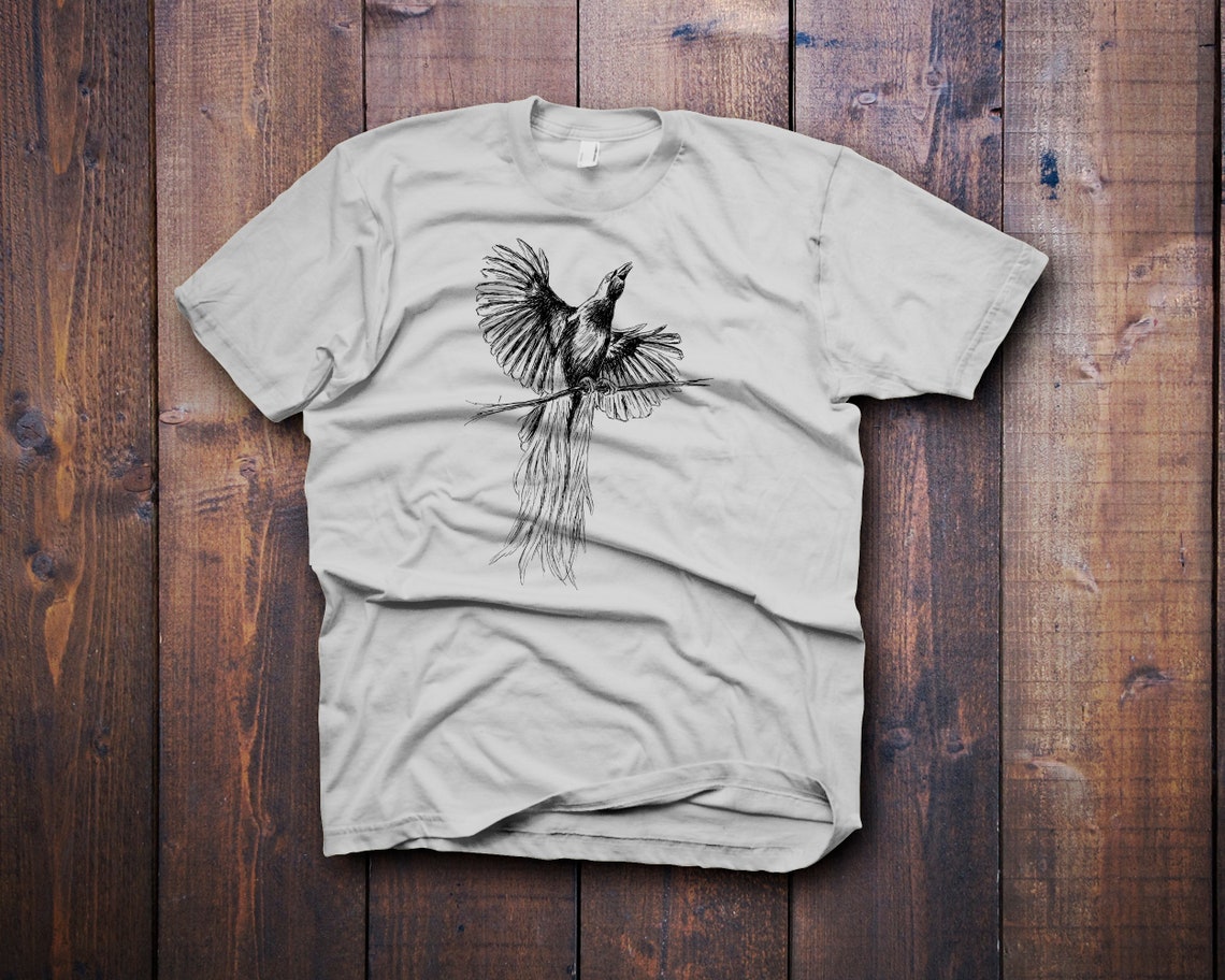 Bird Of Paradise Long Tail Feather Ink Sketch Nature Wall Art - Image 3